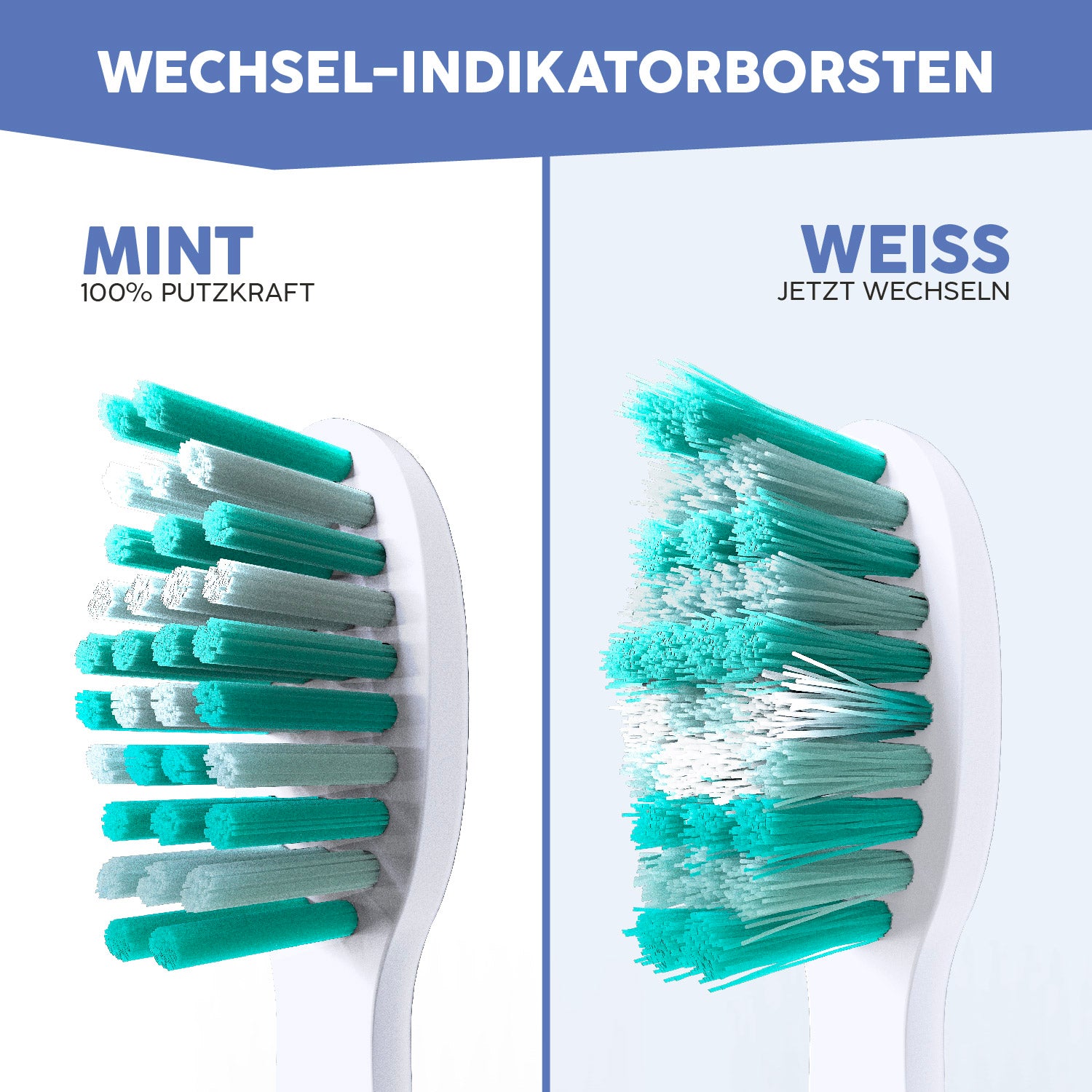 Aufsteckbürsten Eco Vibe 3+ | Agnes