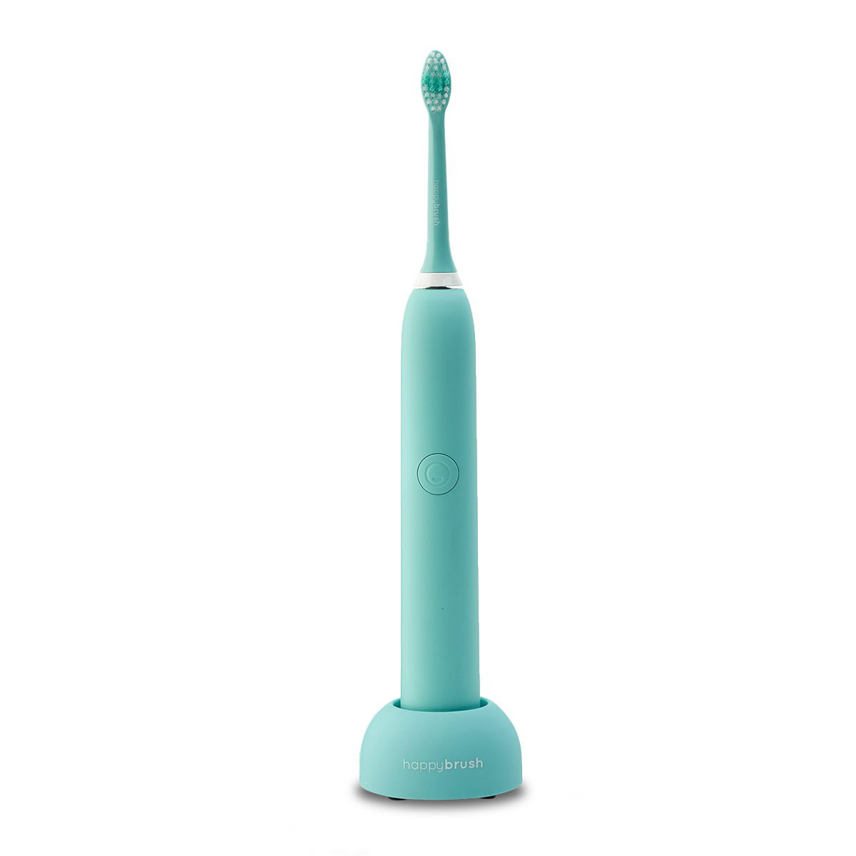 Charger VIBE 1 | mint