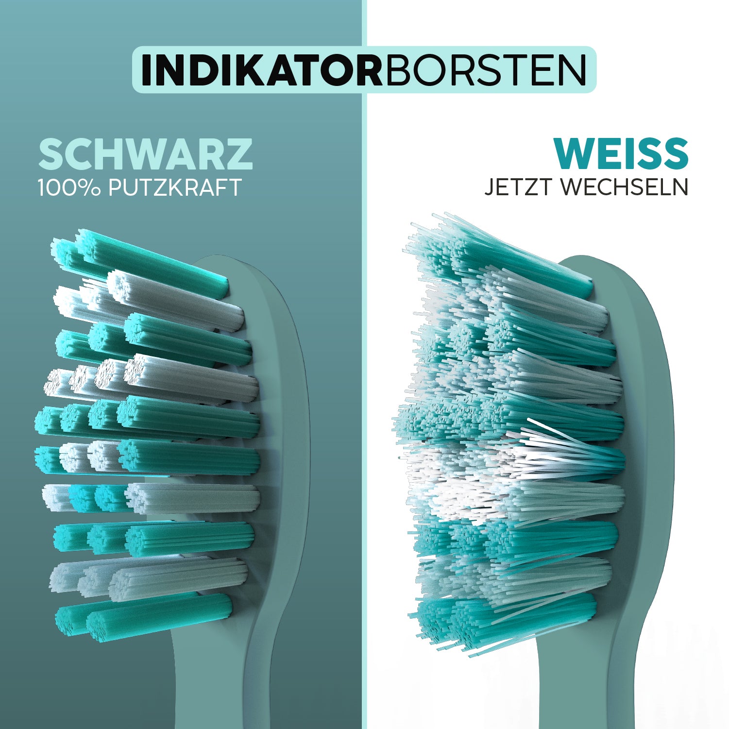 Lächelnder Wechselindikator der happybrush Aufsteckbürste Eco Vibe 3+ in Forest