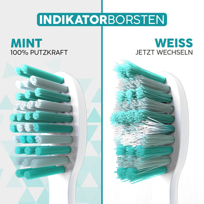 Aufsteckbürsten Eco Vibe 3 | White-Mint