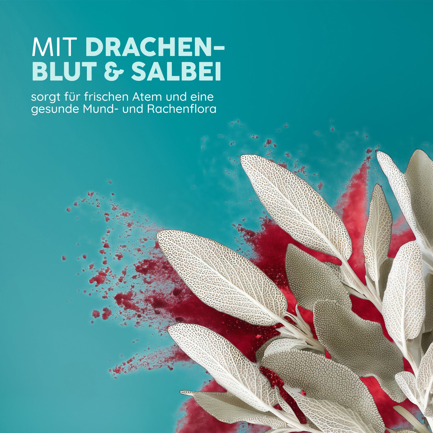 Bio Zahnöl | Drachenblut Salbei by Eliah Sahil